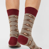 Animal Geschenkset Bio-Socken (3er Pack)